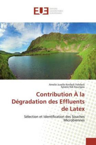 Kniha Contribution ? la Dégradation des Effluents de Latex Sylv?re Ndi Koungou