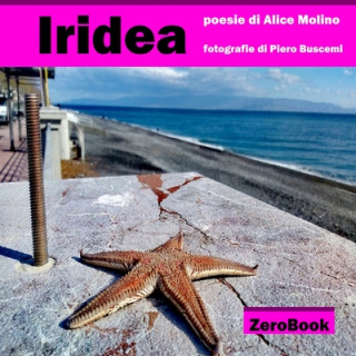 Knjiga Iridea ALICE MOLINO