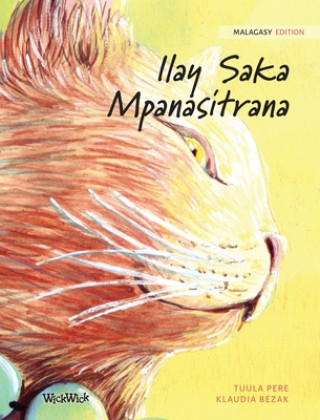 Kniha Ilay Saka Mpanasitrana 
