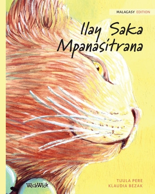 Kniha Ilay Saka Mpanasitrana 