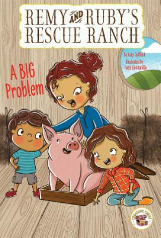 Knjiga A Big Problem Hazel Quintanilla