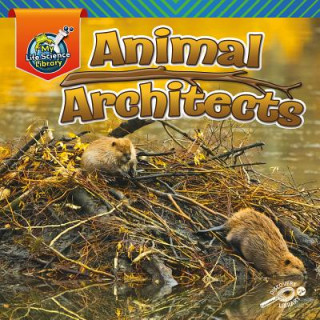 Kniha Animal Architects Lisa J. Amstutz