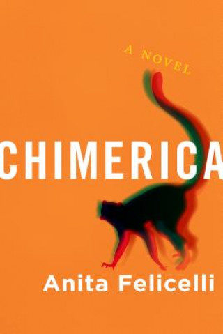 Libro Chimerica: A Novel Felicelli