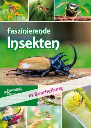 Kniha Faszinierende Insekten und Spinnentiere unserer Heimat garant Verlag GmbH