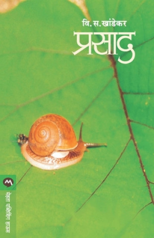 Knjiga Prasad V. S. KHANDEKAR