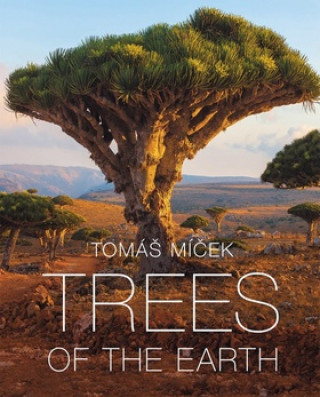 Книга Trees of the World Tomáš Míček