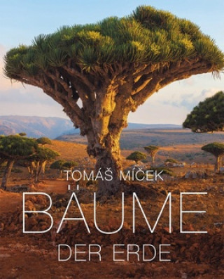 Kniha Bäume der Erde Tomáš Míček