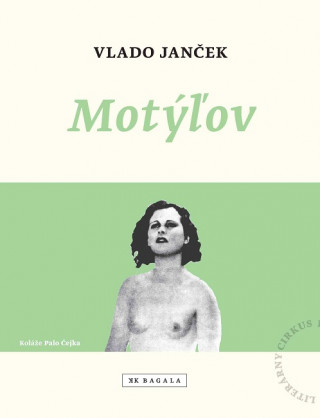 Kniha Motýľov Vlado Janček