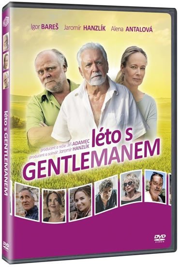 Video Léto s gentlemanem DVD 