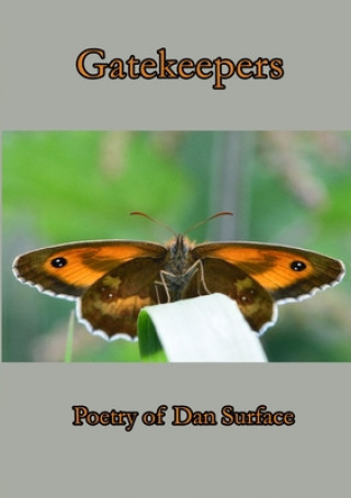 Knjiga Gatekeepers Dan Surface