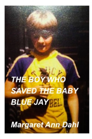 Kniha boy who saved the baby blue jay 