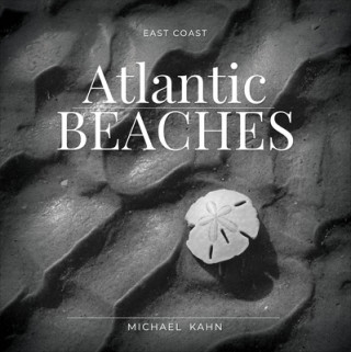 Könyv East Coast Atlantic Beaches 