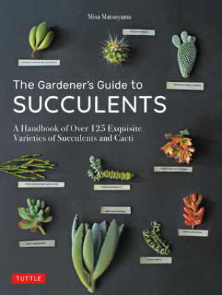 Kniha Gardener's Guide to Succulents 