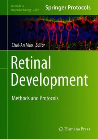 Buch Retinal Development Chai-An Mao