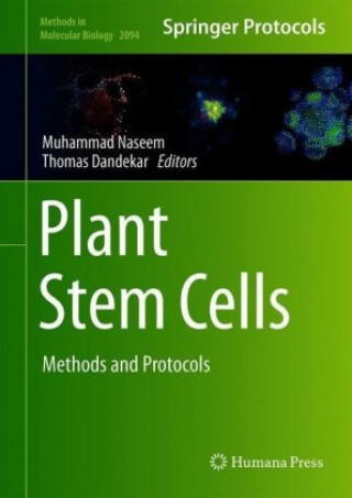 Book Plant Stem Cells Thomas Dandekar