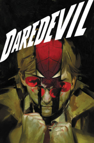 Knjiga Daredevil By Chip Zdarsky Vol. 3: Through Hell Marco Checcetto