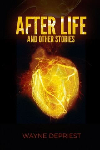 Knjiga After Life Wayne Depriest