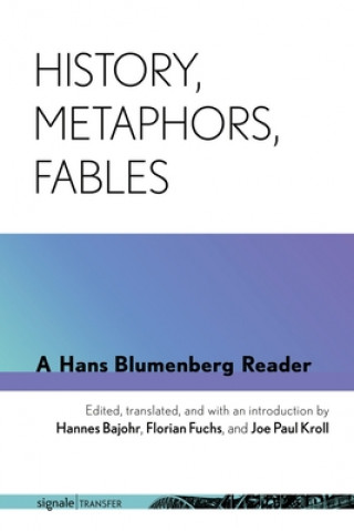 Könyv History, Metaphors, Fables Hannes Bajohr