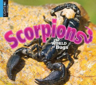 Kniha Scorpions 