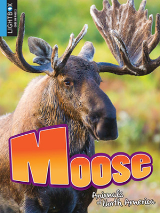 Książka Moose 