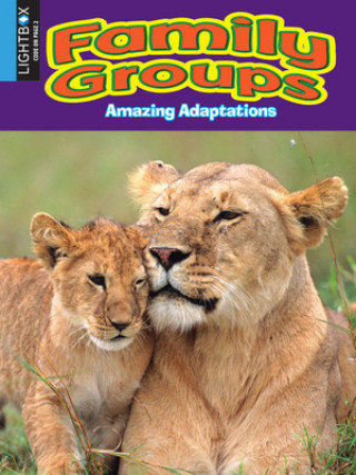 Libro Family Groups 