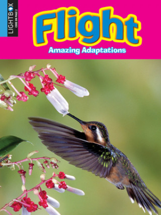 Carte Flight 