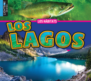 Carte Los Lagos 
