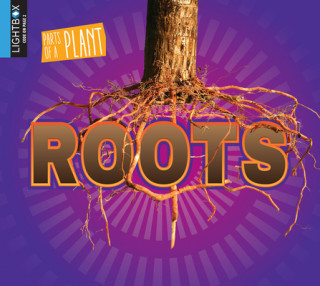 Книга Roots John Willis