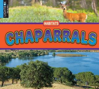 Libro Chaparrals Samantha Nugent