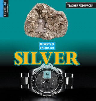 Knjiga Silver Mari Rich
