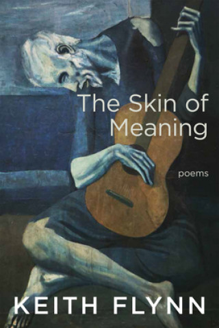 Книга Skin of Meaning 