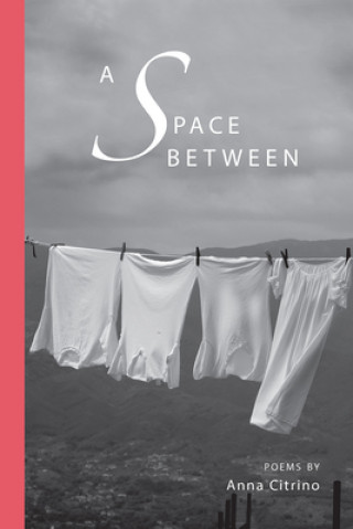 Knjiga Space Between Anna Citrino