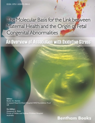 Könyv The Molecular Basis for the Link Between Maternal Health and the Origin of Fetal Congenital Abnormalities: An overview of Association with Oxidative S Maqsood M. Elahi