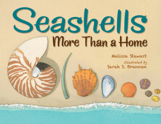 Knjiga Seashells Sarah S. Brannen