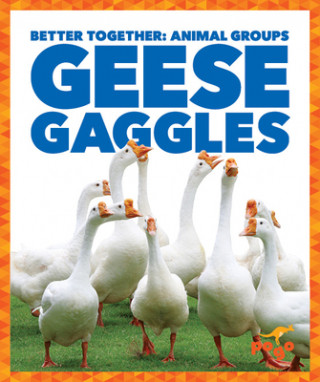 Kniha Geese Gaggles 