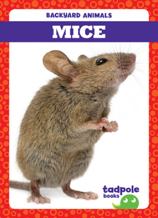 Knjiga Mice 
