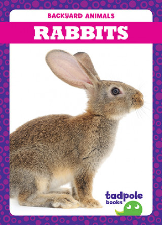 Knjiga Rabbits Genevieve Nilsen