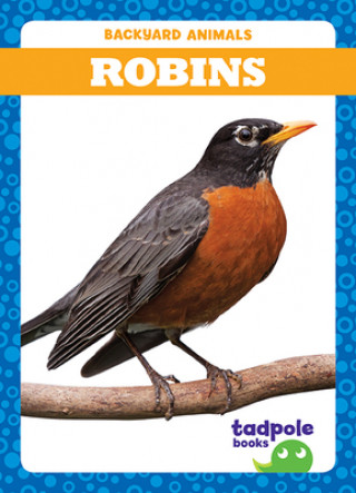 Kniha Robins 