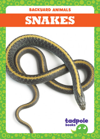 Knjiga Snakes Genevieve Nilsen