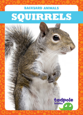 Knjiga Squirrels Genevieve Nilsen