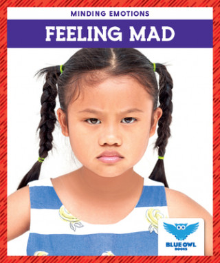 Knjiga Feeling Mad Amber Bullis