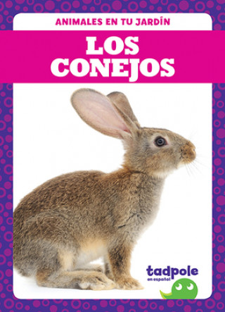 Kniha Los Conejos (Rabbits) 