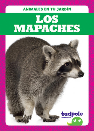 Kniha Los Mapaches (Raccoons) 