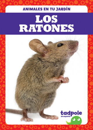 Buch Los Ratones (Mice) 