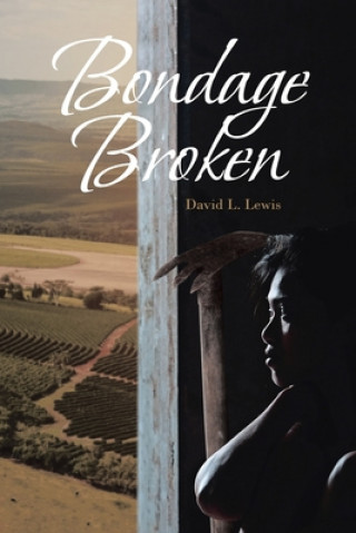 Buch Bondage Broken David L. Lewis