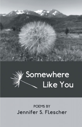 Knjiga Somewhere Like You Jennifer S. Flescher