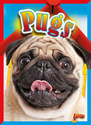 Buch Pugs Elizabeth Noll