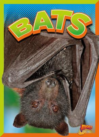 Knjiga Bats 