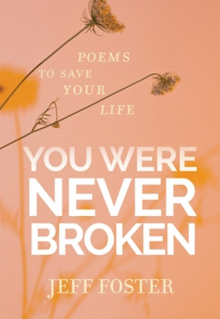 Knjiga You Were Never Broken 