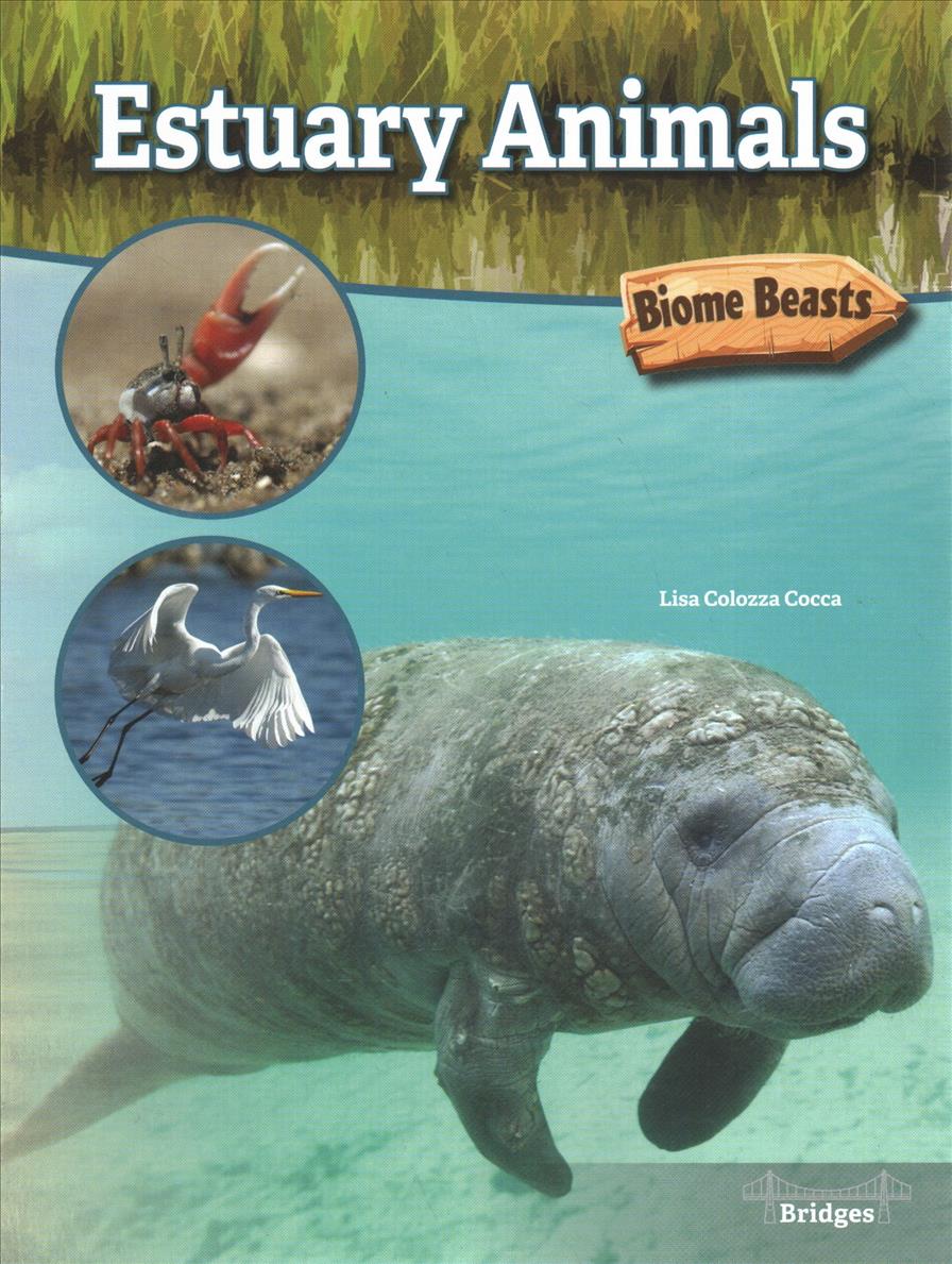 Książka Estuary Animals Lisa Colozza Cocca